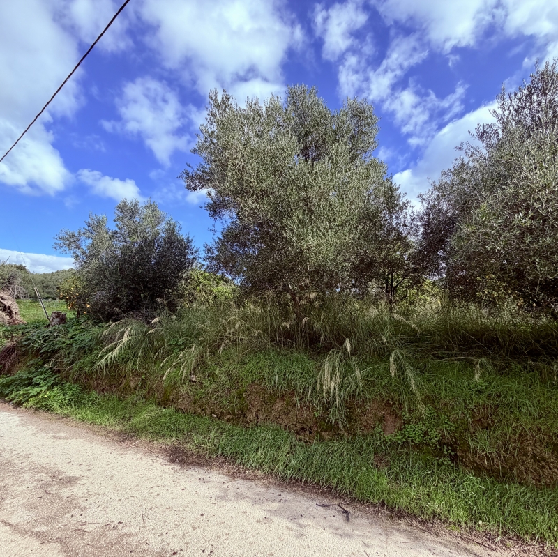 property-img