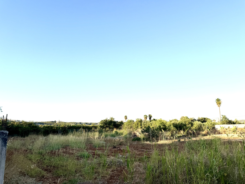 property-img
