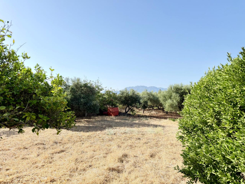 property-img